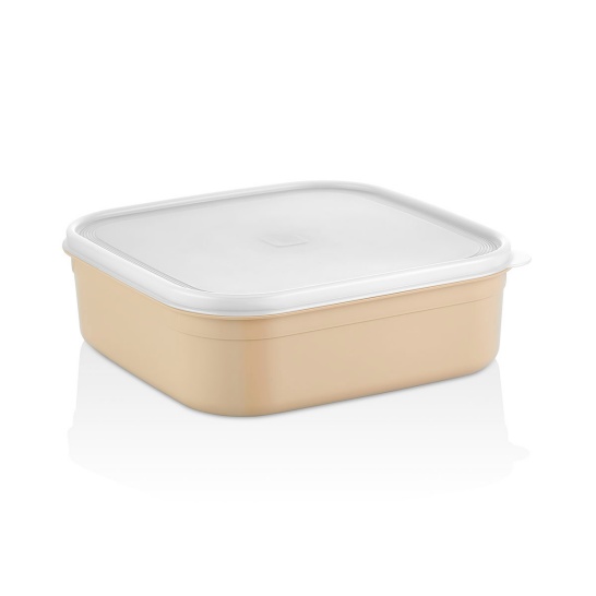 Renkli 4 lt Saklama Kabı - 116